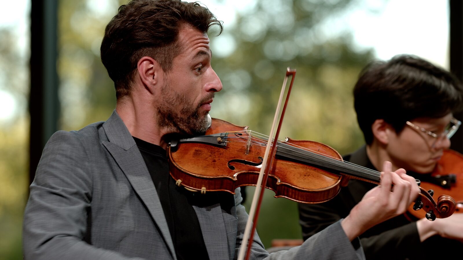 The Dover Quartet