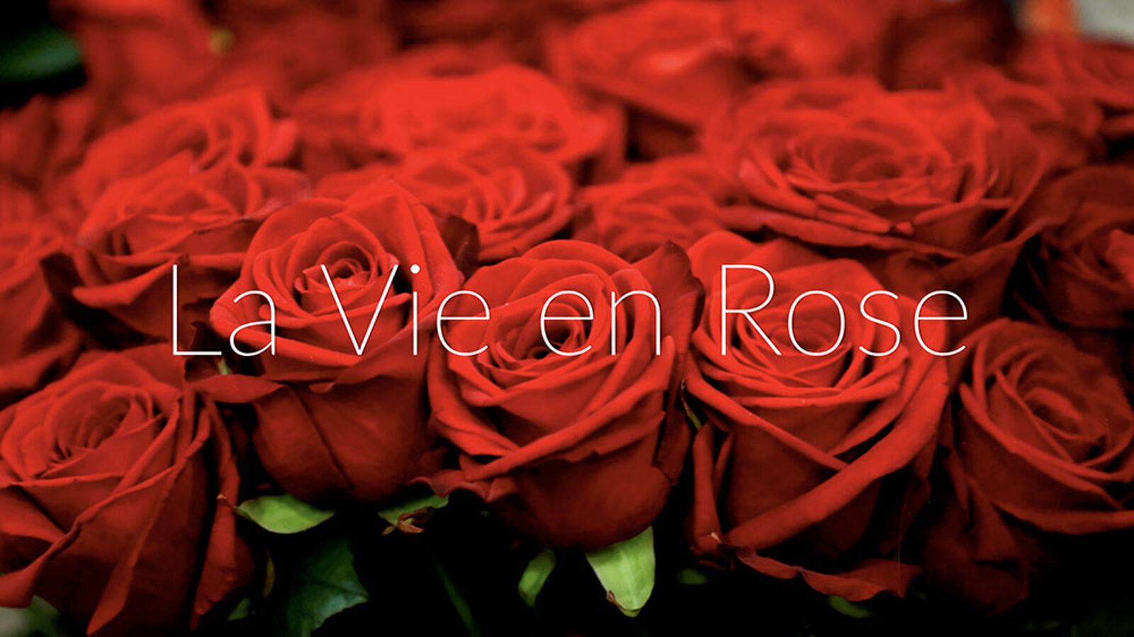 La Vie En Rose